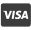 Pay with Visa